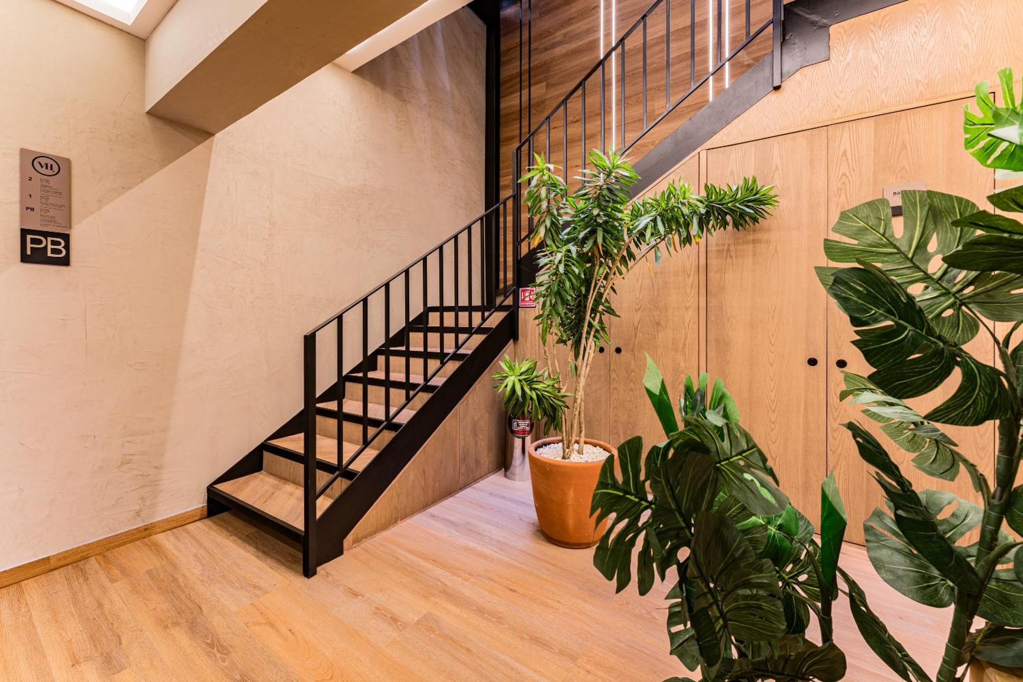 The Boutique Suites 187 By Vh Mexico City Exteriör bild